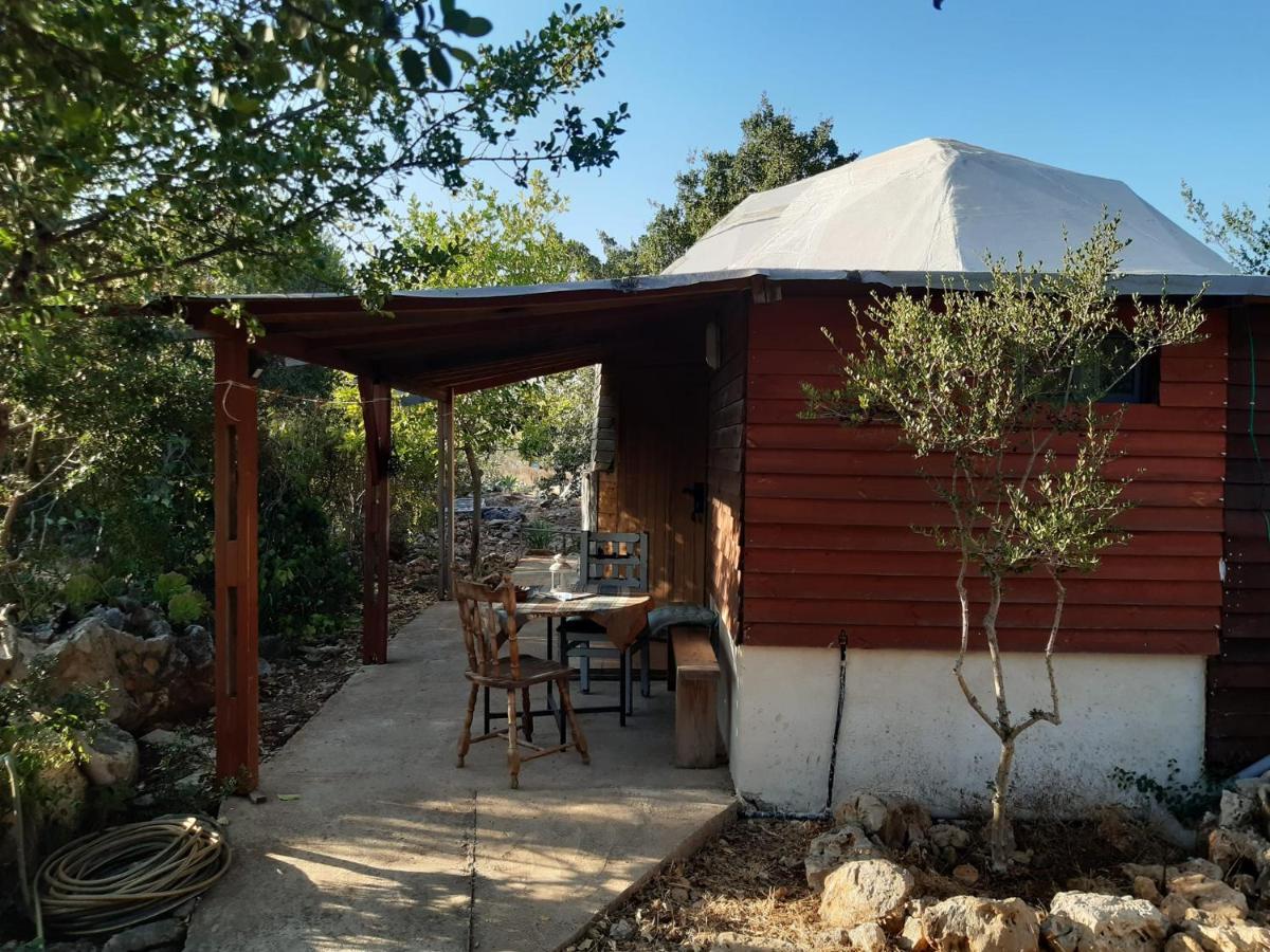 בקתת עץ בחורש במנות - דום גיאודזי - Wooden Cabin In Manot Exterior photo